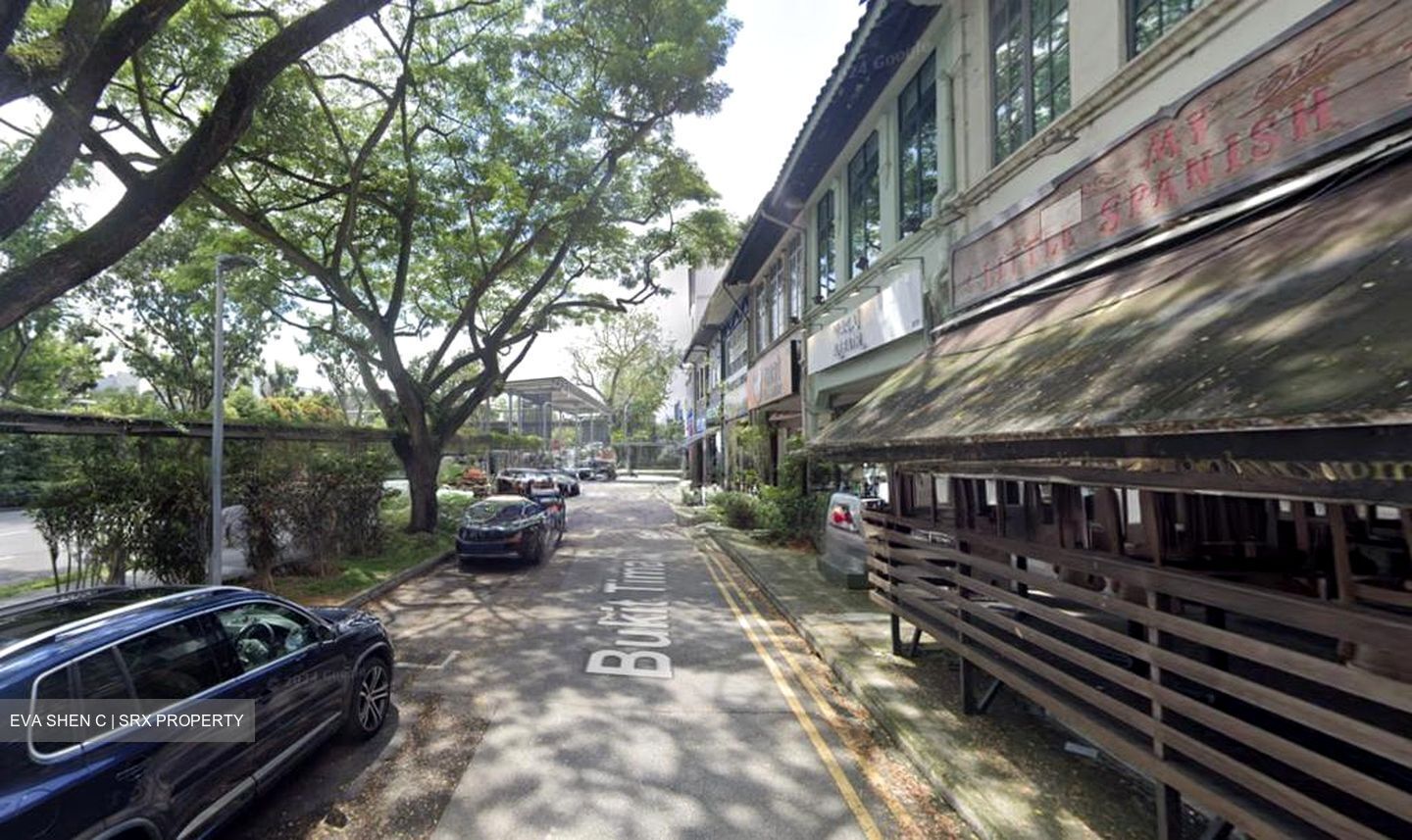 Bukit Timah Road (D10), Shop House #525260931